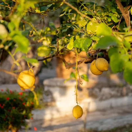 La Casa Dei Ricordi